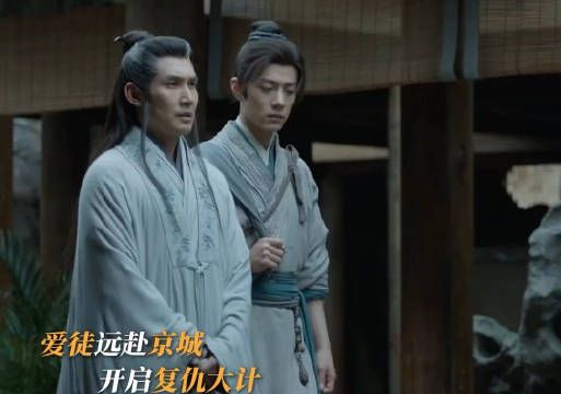 星斗大师为藏海抹去痕迹助其复仇