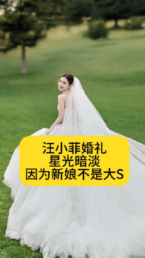 汪小菲婚礼星光暗淡,因为新娘不是大S作品二创