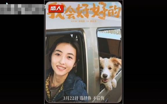 张子枫王景春主演《我会好好的》票房2491万,六边牧出演狗狗张小意