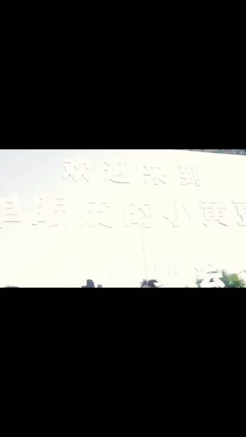 小黄豆生日去了很多人,有你认识的吗?话说任权你在后面看啥呢