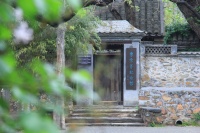 从“曹雪芹小道”看中国传统文化热：一条幽径、百年文脉