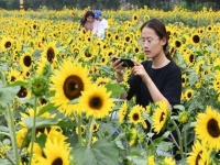 探秘北京大观园：红楼梦的真实背景与文化遗产