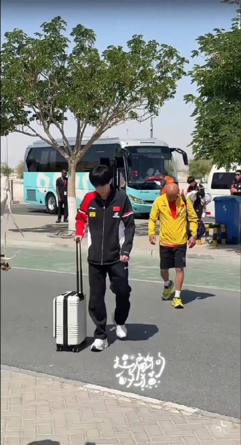 王楚钦和孙颖莎上训了,跟在大头后面的肖战太亮了