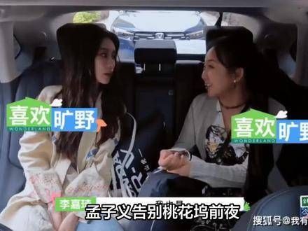 孟子义在告别桃花坞的前夜