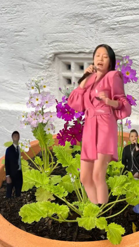 这是20年前,小S的婚礼现场, 当年大S、范玮琪都还没有结婚