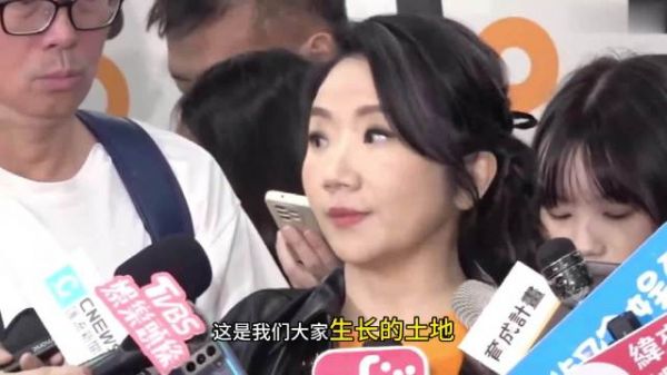 陶晶莹称台湾艺人工作辛苦因立场问题