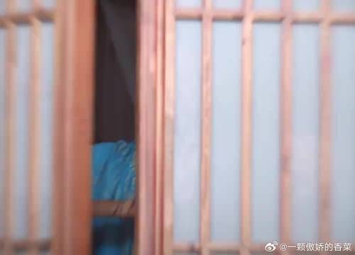 pick哪个类型的香暗荼