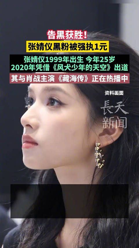 告黑获胜!张婧仪黑粉被强执1元