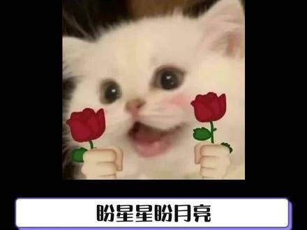 这简直是一场视觉的狂欢,终于等到了!