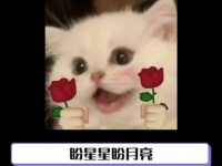 这简直是一场视觉的狂欢，终于等到了！
