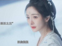 全员高颜值，每对CP都很好嗑