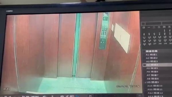 小姐姐还好心等了等它
