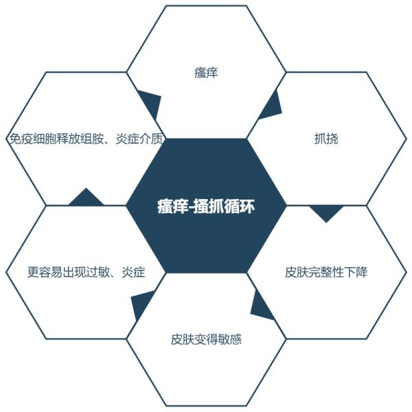 瘙痒-搔抓循环（图片来源：作者自制）