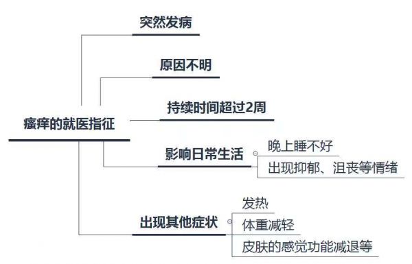 瘙痒的就医指征（图片来源：作者自制）