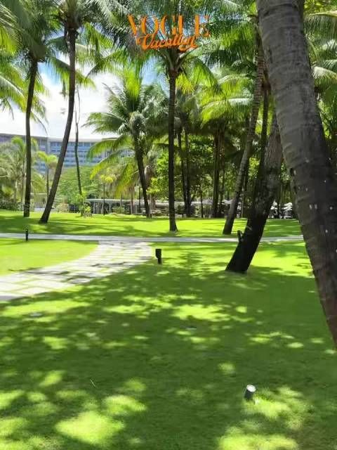 那尔那茜亮相vouge红毯状态爆棚