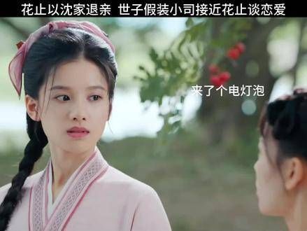 花止因沈家退亲,世子假扮小司接近花止展开恋情