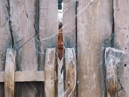 好久不见,“玟小六”