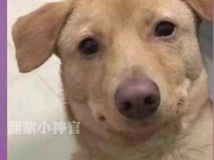 表哥把我们当外人吗?仅仅让我看脖颈就够了吗?