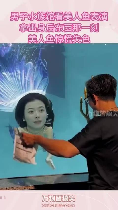 男子水族馆看美人鱼表演,拿出身后东西那一刻,美人鱼惊慌失色!