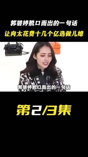 郭碧婷一句话引向太投资十几亿
