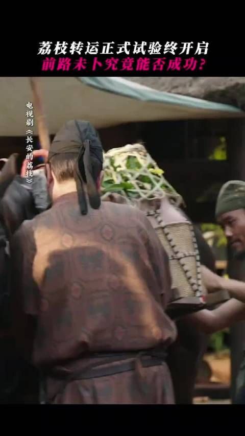 雷佳音演绎李善德为荔枝操碎心,古今保鲜对比引热议