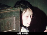 陈氏悬疑大作酱园弄悬案上映