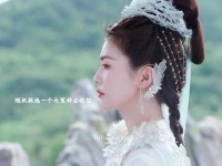 蒋辩称全程非本意，涉及临江仙白鹿事件
