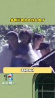 曾舜晞探班白鹿晒合照，梁永棋同框