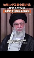 魷魚一日不滅亡，世界不會有安靜日子！波斯貓今次你哋要頂住呀！
