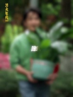 《淬火年代》精准还原90年代生活氛围，再现《泰坦尼克号》上映等经典场景