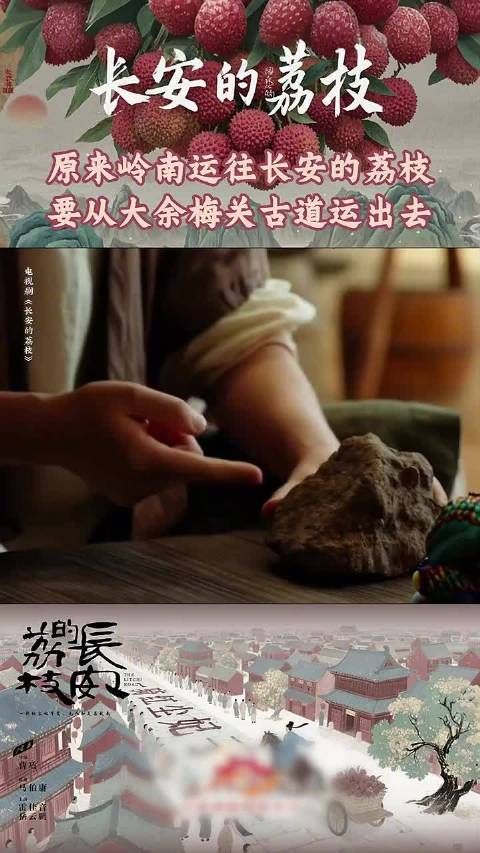 江西古道竟是荔枝通往长安的保鲜密码