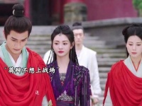 蒋辩不去打架，显得格外开心，玄微应该就是孟长琴吧，对花如月真是关怀备至