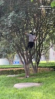 隔壁vx群看的，这要是摔了，公园就得赔钱了吧