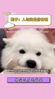 开始还以为是狗子身残志坚的故事