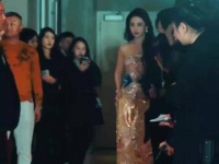 刘亦菲蝉联金莲花视后，凭《去有风的地方》再获奖