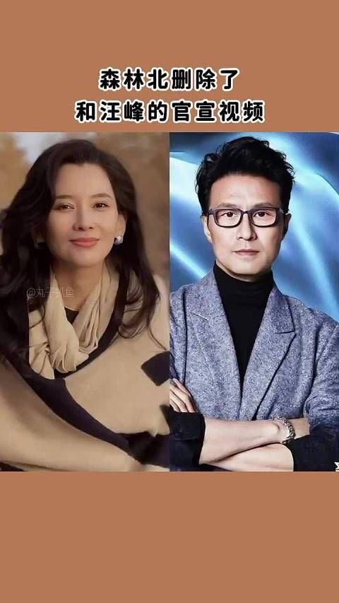 森林北删除了和汪峰官宣的视频!这么快就结束了?