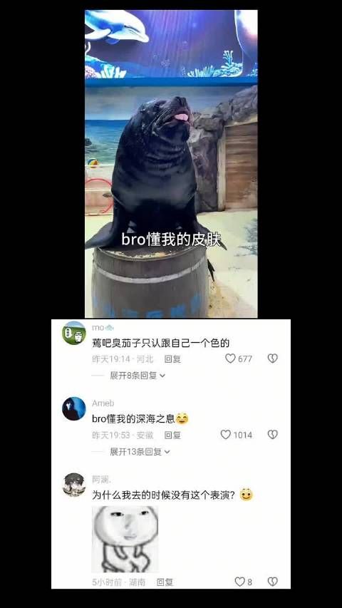 深海之息有家的感觉