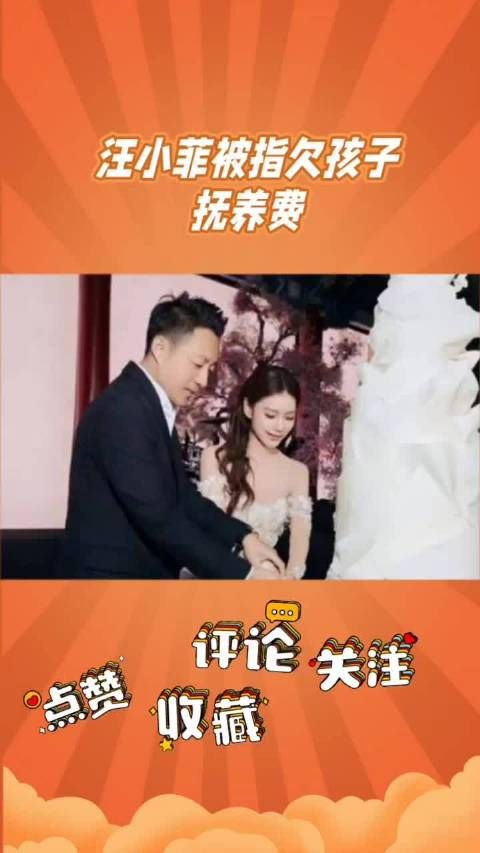 汪小菲年付四千万抚养费,含孩子额外消费百万