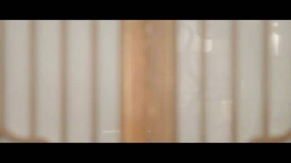 桃花映江山定档