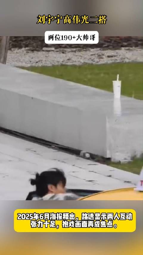 刘宇宁高伟光二搭,两位190+大帅哥