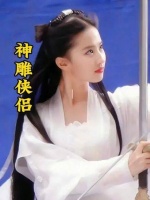 郭襄一见杨过真容，便种下了终生难解的情缘