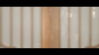 桃花映江山定档