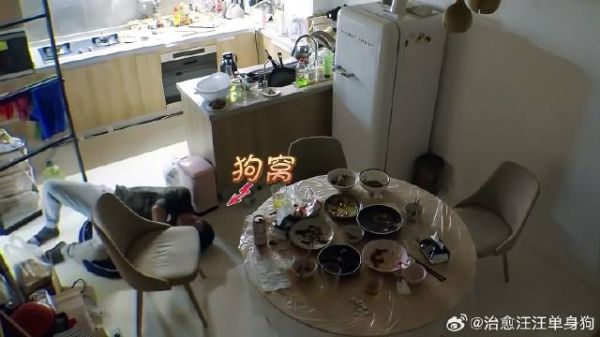 被亲妈搅黄三段恋情!45岁朱雨辰醉酒后,躺狗窝痛哭
