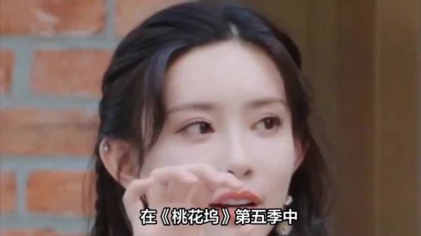 孟子义采访不看提纲追求真实,桃花坞展现钝感力社交