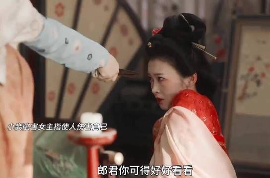 杨紫白菊探访何惟芳,探讨爱人先爱己