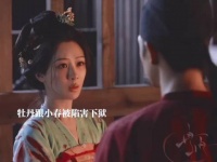 小春拒婚从医遭陷害入狱，蒋长扬助牡丹寻证平冤