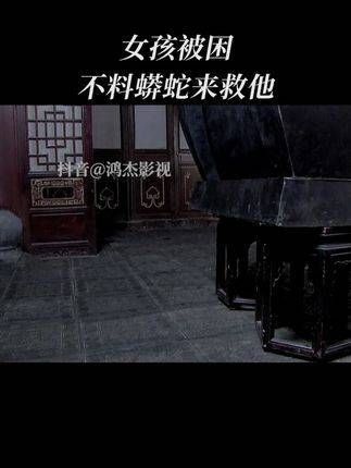 单身女孩的日常,精彩剧集推荐