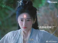 南颜为救小狐狸坠崖重明鸟真身现世