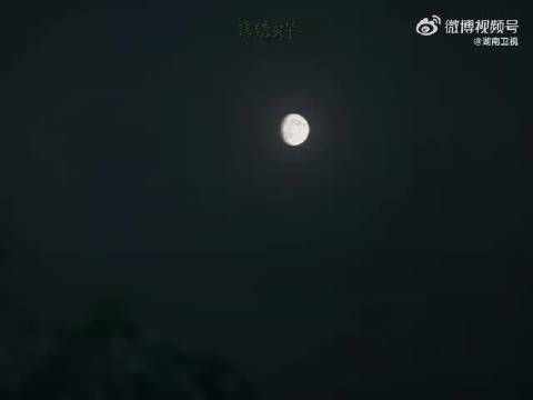 杨紫《锦绣芳华》细腻演绎何惟芳，文字化身鲜活画面