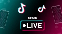 法国TikTok娱乐公会：连接多元文化的直播桥梁